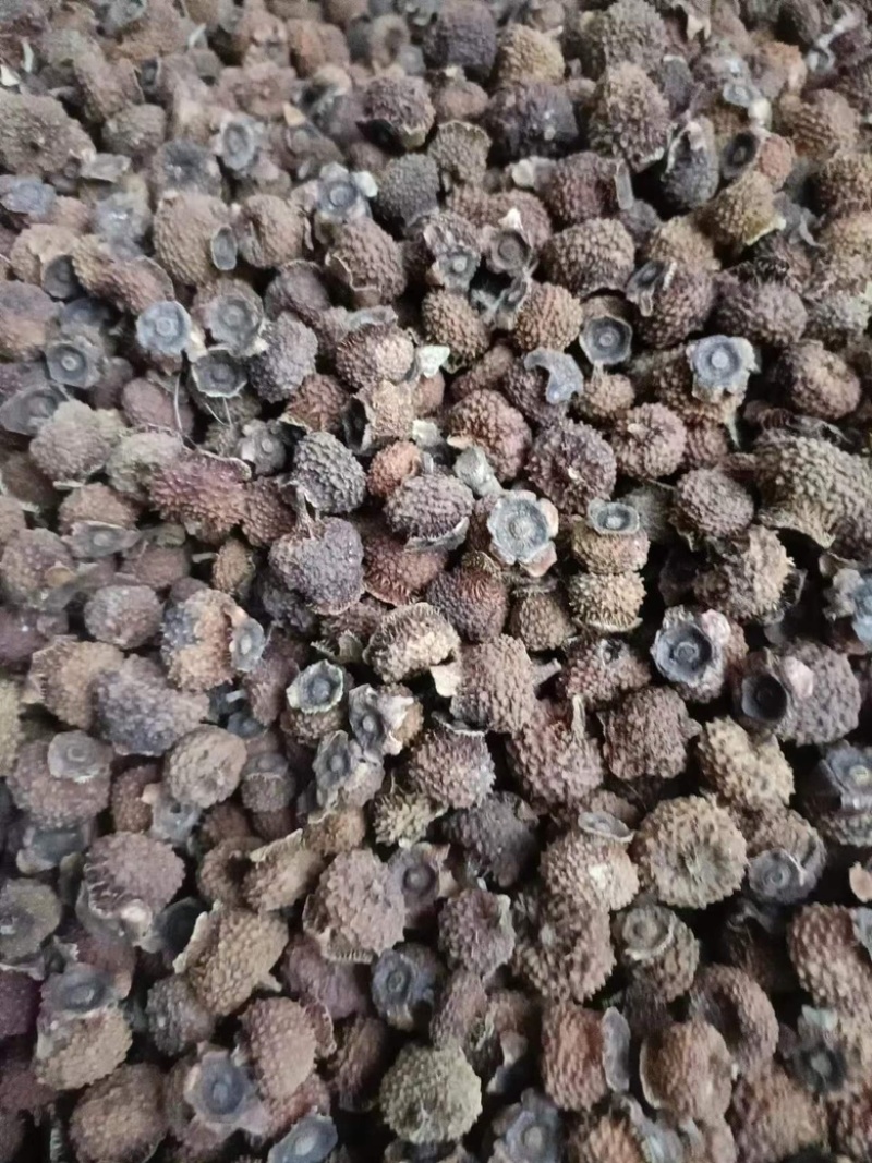 现有20吨刺梨干果出售有兴趣的请联系