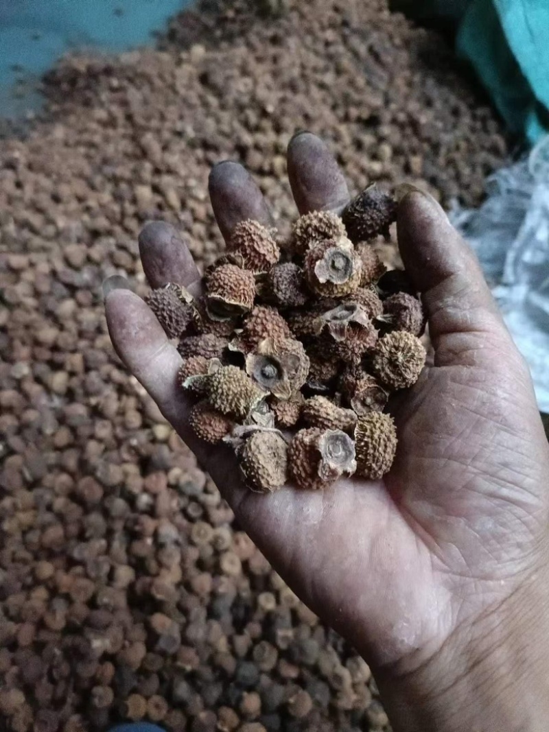 现有20吨刺梨干果出售有兴趣的请联系