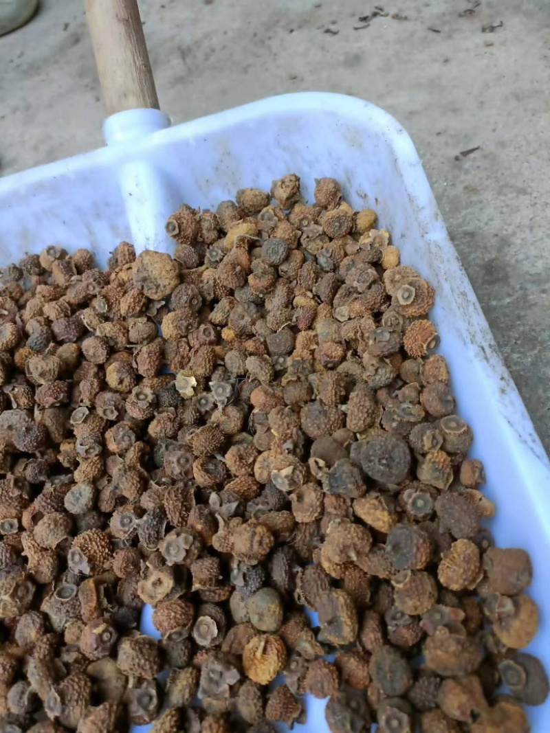 现有20吨刺梨干果出售有兴趣的请联系