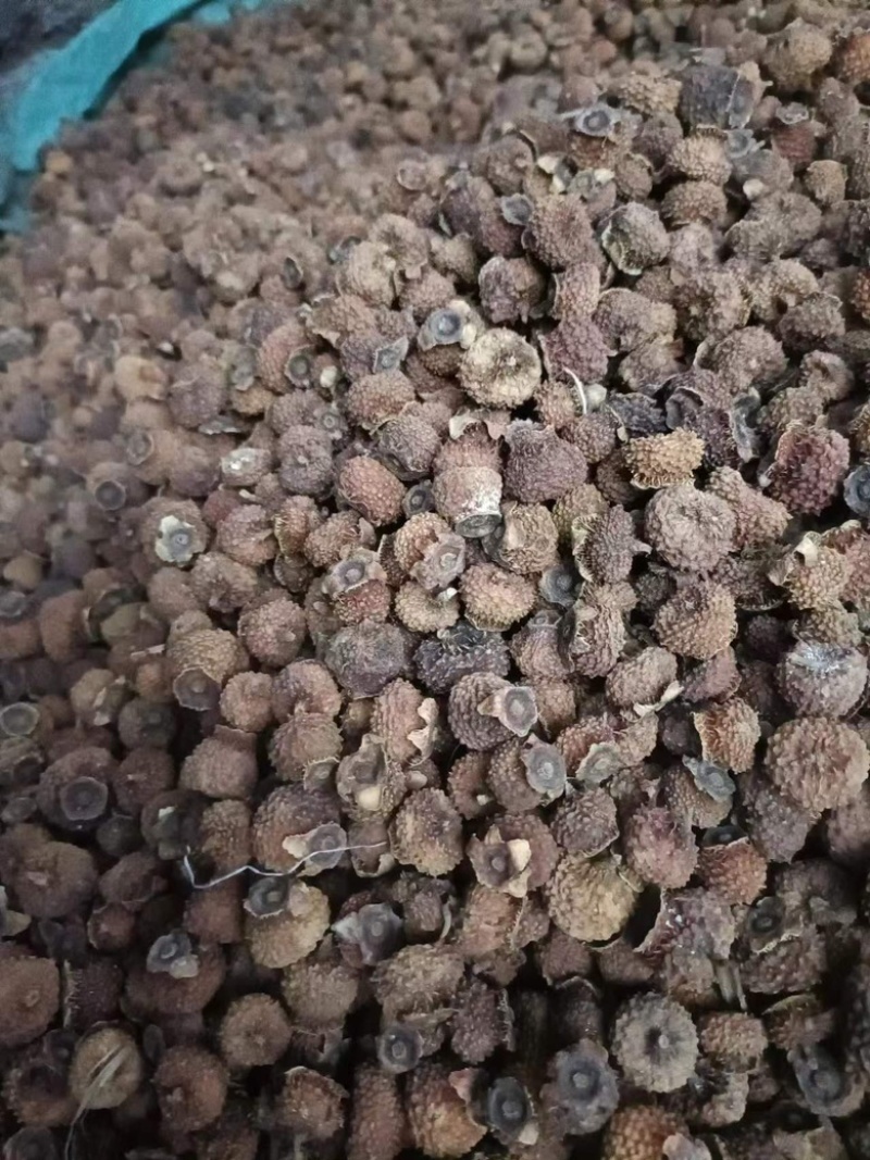 现有20吨刺梨干果出售有兴趣的请联系