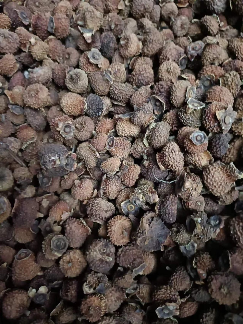 现有20吨刺梨干果出售有兴趣的请联系
