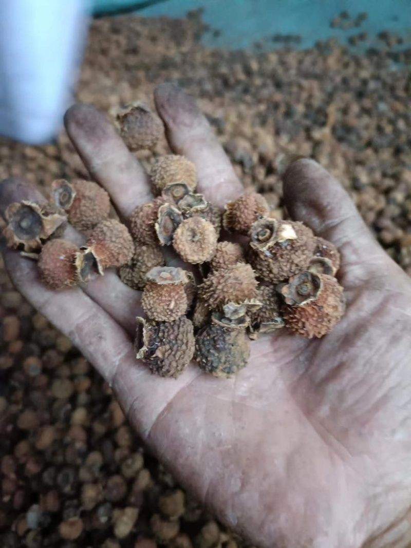 现有20吨刺梨干果出售有兴趣的请联系