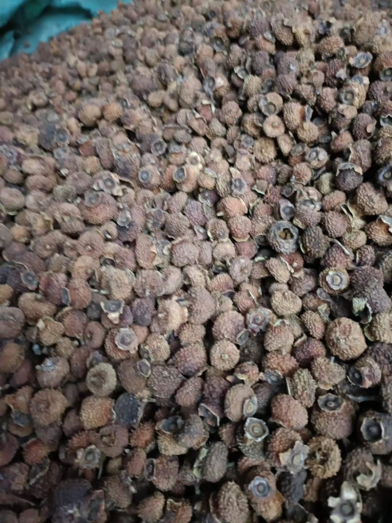现有20吨刺梨干果出售有兴趣的请联系