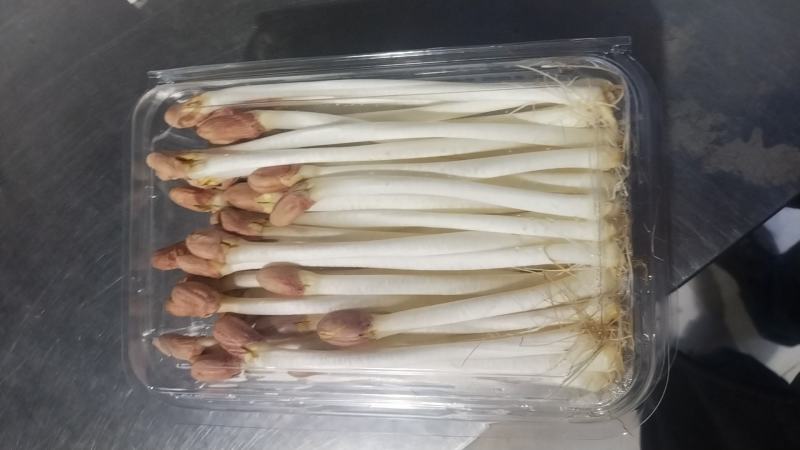 袋装/盒装精品花生芽按需包装对接各大商超市场社区团购