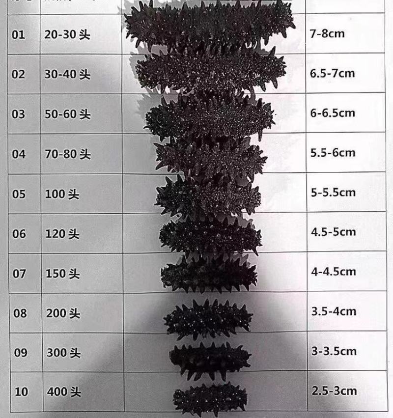 【推荐】俄罗斯海参产地直发各种规格齐全品质保证欢迎咨询