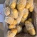 潍坊荷兰十五土豆价格，荷兰土豆产地批发，黄心土豆价格