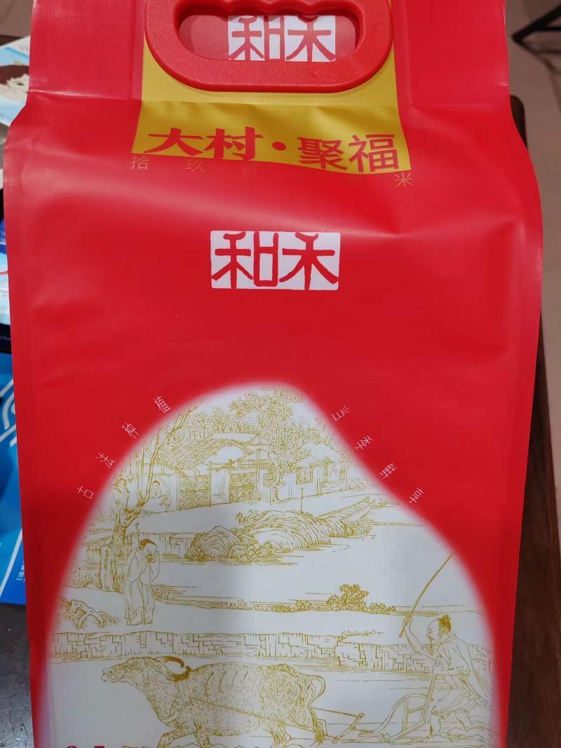 广东精品香米大米19香丝苗米品质保证量大从优欢迎联