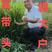 精品丝苗米香米产地直发品质保证量大从优欢迎联系