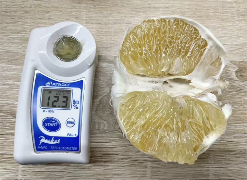 福建平和爆汁葡萄柚，品质保证，量大从优！