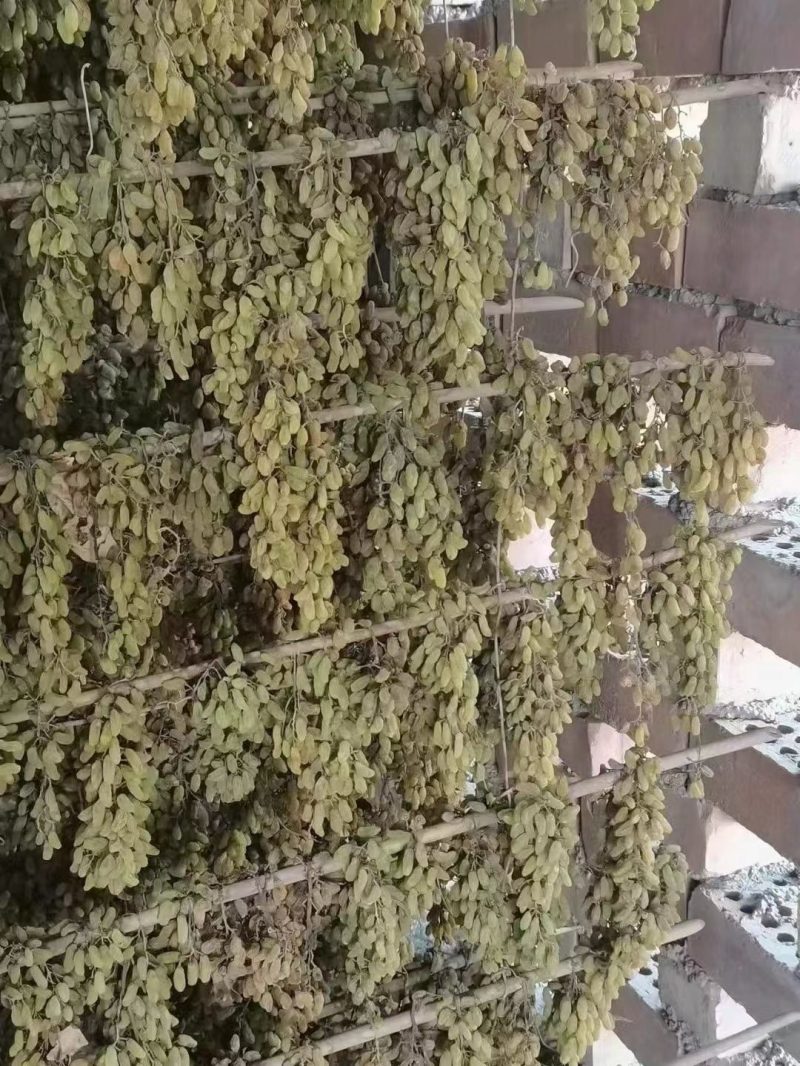 新疆干果