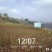 油桐苗杯苗千亩油桐树苗批发基地手续齐全欢迎采购