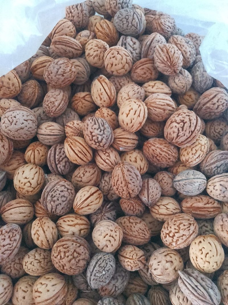 桃核