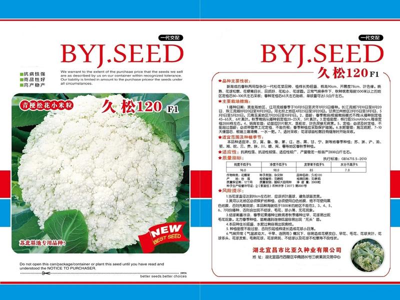 久松120台湾散花种子菜种子秋季栽培菜花种子蔬菜种子