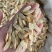 黄芪瓜子片黄芪1.0甘肃产地货源大货供应七彩百草