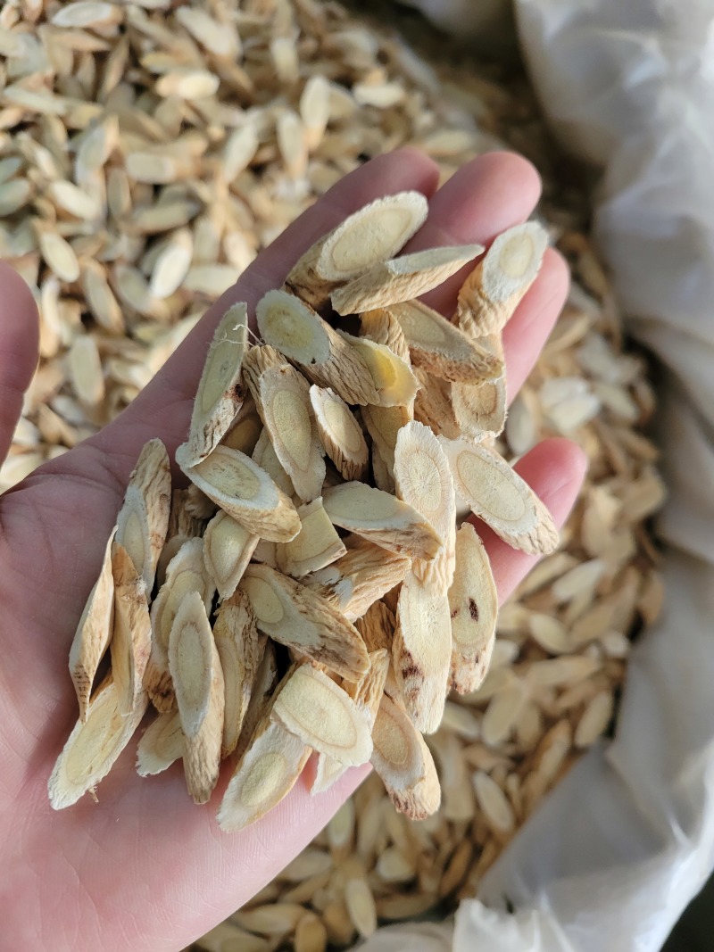 黄芪瓜子片黄芪1.0甘肃产地货源大货供应七彩百草