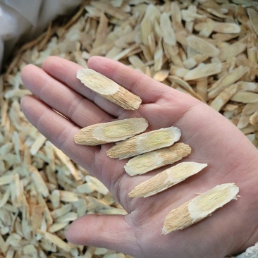 黄芪瓜子片压片甘肃产地货源大货供应山东七彩百草中药材批
