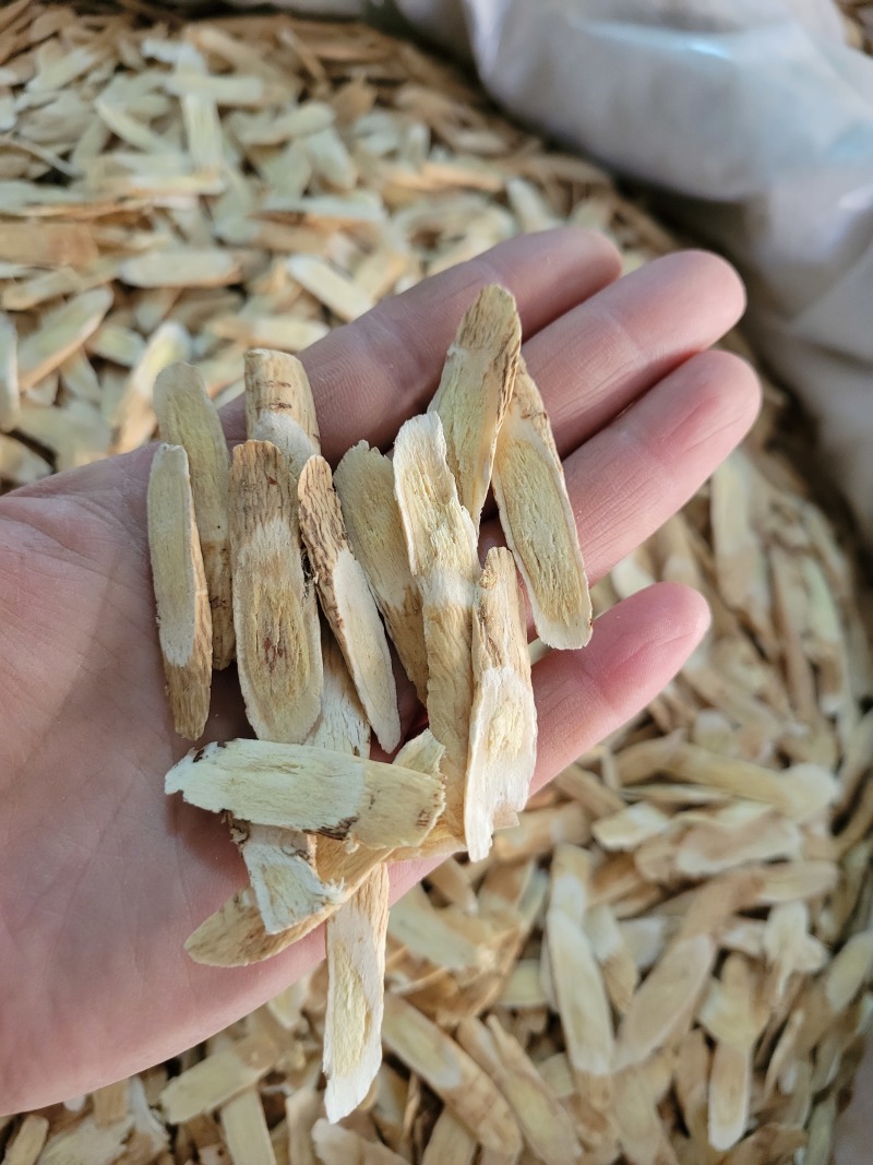 黄芪瓜子片压片甘肃产地货源大货供应山东七彩百草中药材批