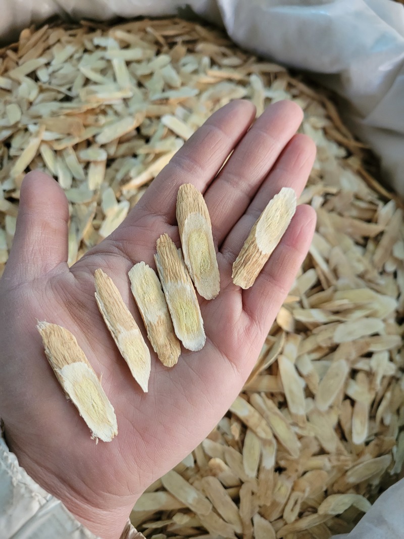 黄芪瓜子片压片甘肃产地货源大货供应山东七彩百草中药材批