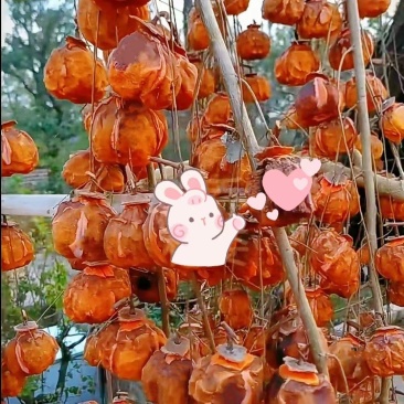农家手工糖心柿饼自然风干，0添加，15块一斤！