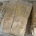 农家自制鲜榨笋片质量保证一手货源量大优惠欢迎订购
