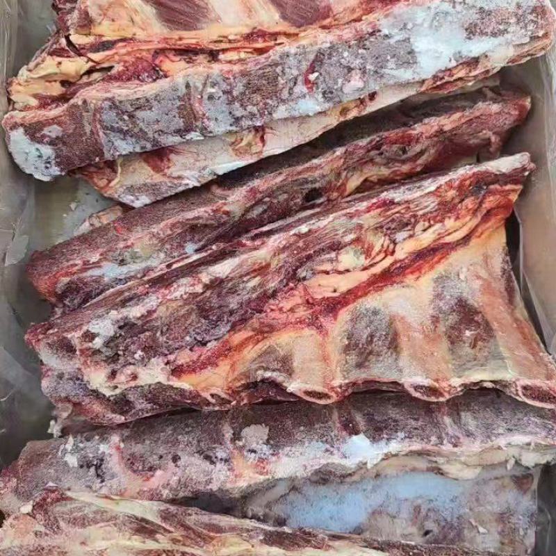 牛脊骨