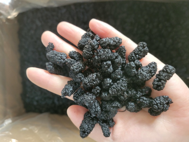 桑葚桑葚干桑葚子选货四川产地货源大货供应七彩百草中药材批