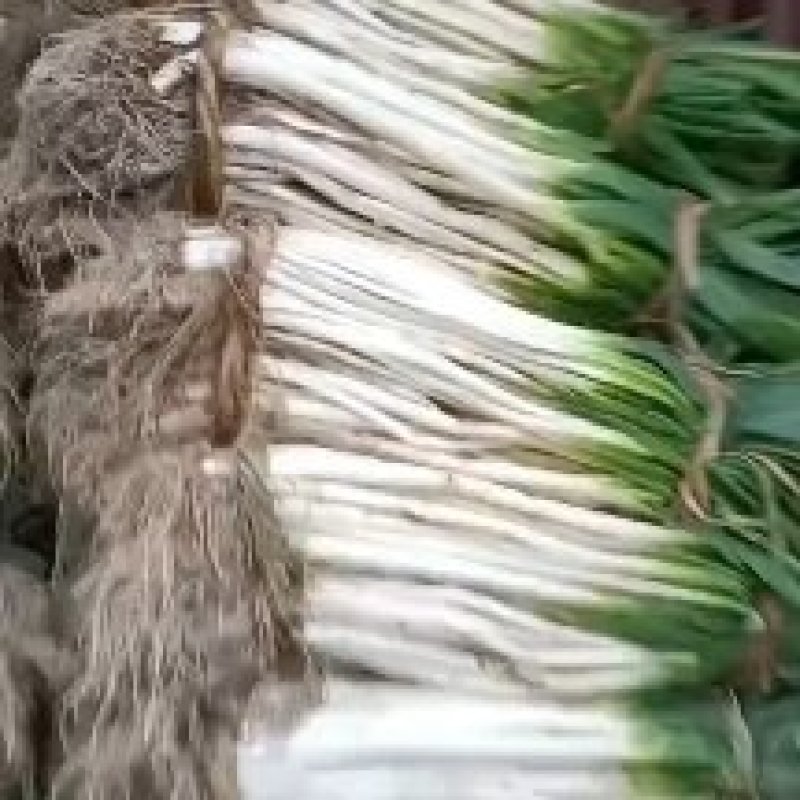 【今日推荐】精品陕西大葱产地直发可视频看货对接全国市场