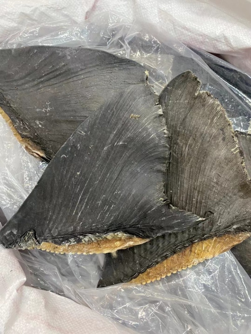 牙只翅鱼翅牙勾翅酒店专用鱼翅广州鱼翅批发商