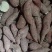 商薯19