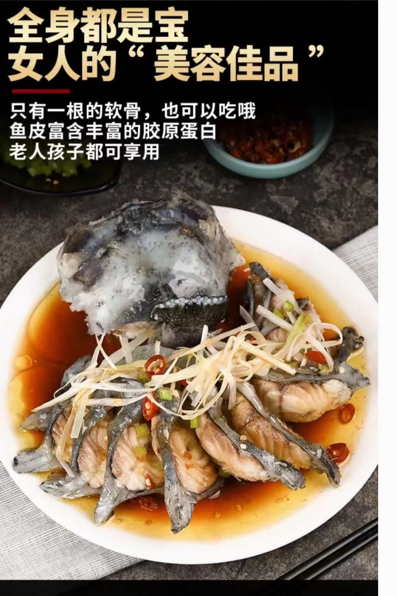 去沙精品海参斑鱼，山东厂家发货，新鲜保质品质保证欢迎来电