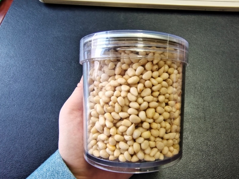 大兴安岭野生松子仁熟制原味***休闲零食批发直销