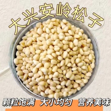 大兴安岭野生松子仁熟制原味***休闲零食批发直销
