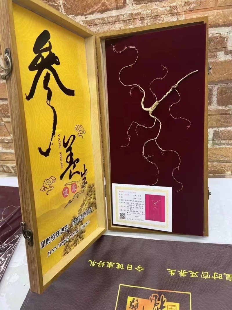长白山野山参林下参干参人参16年参龄带证书批发直销