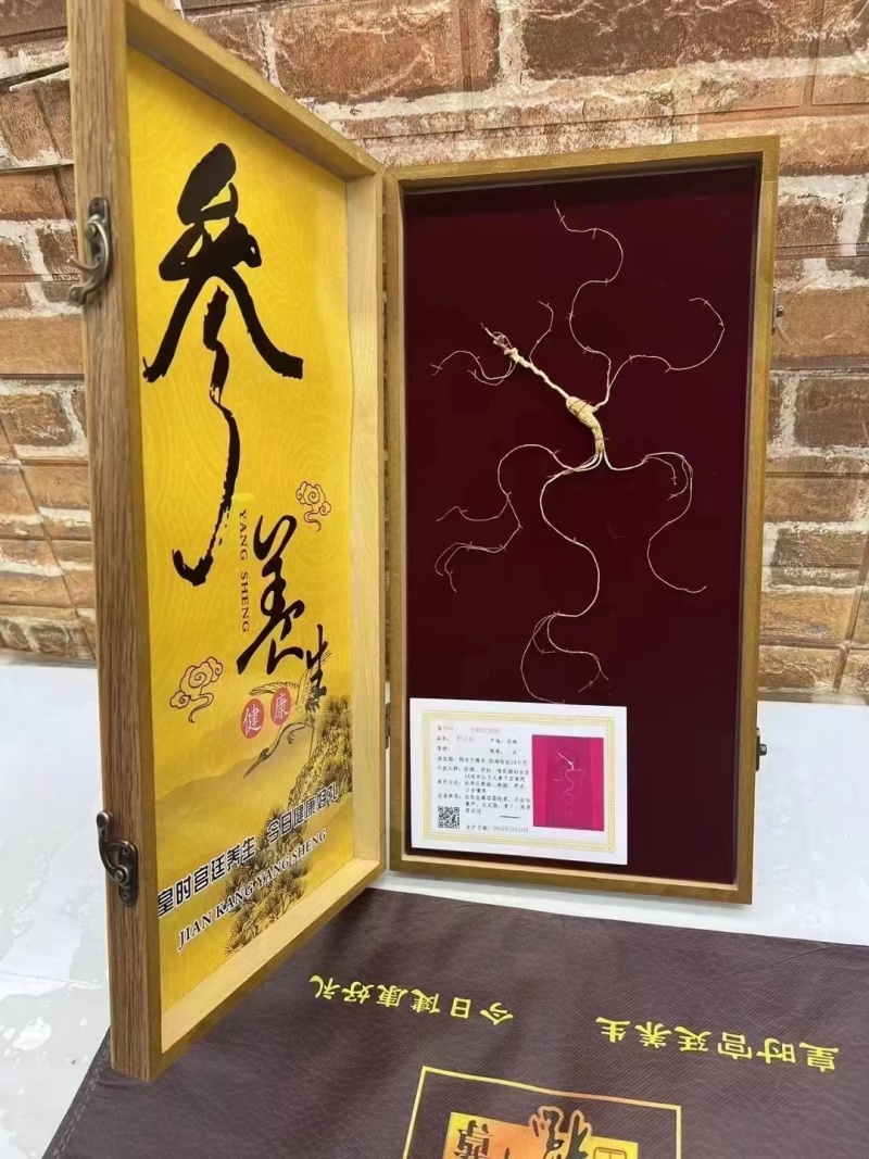 长白山野山参林下参干参人参16年参龄带证书批发直销