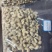 腰果，非洲。未加工，加工后的。源头工厂。