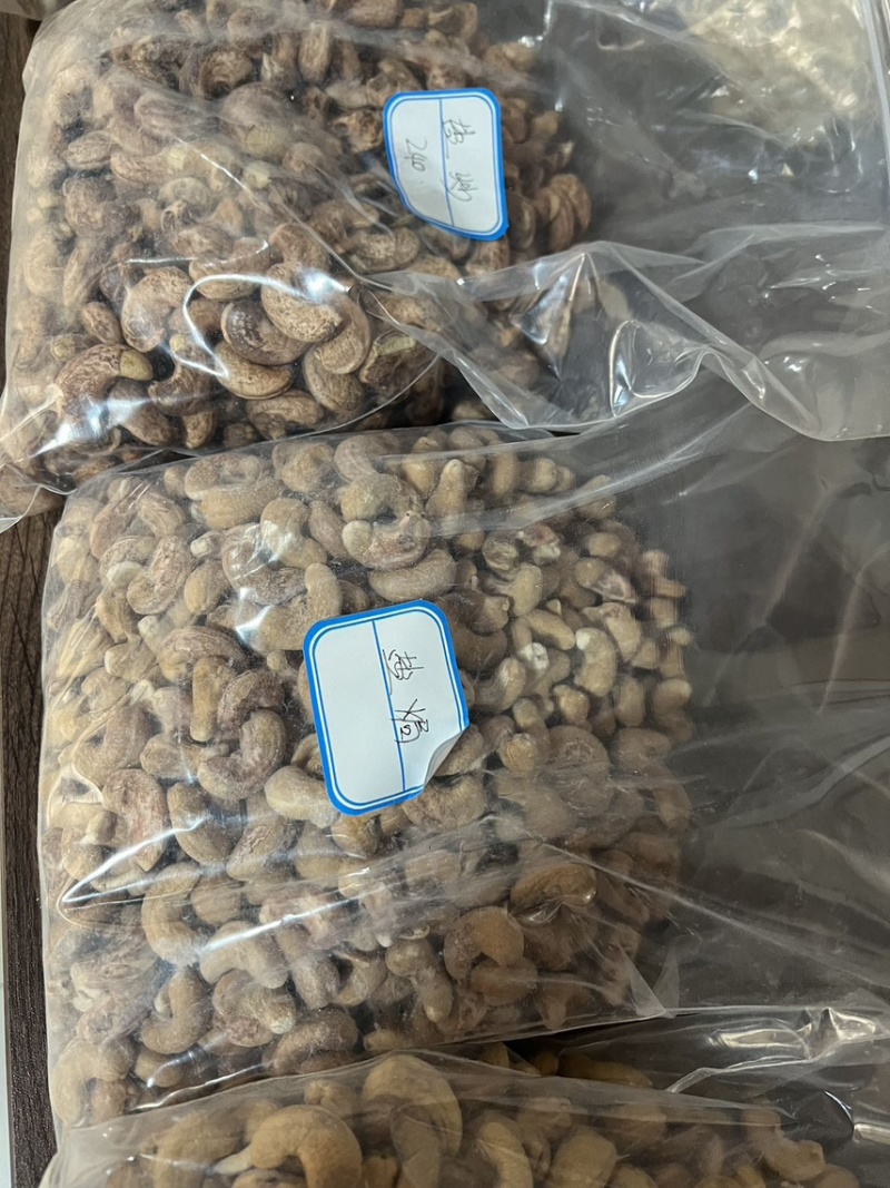 腰果，非洲。未加工，加工后的。源头工厂。