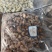 腰果，非洲。未加工，加工后的。源头工厂。