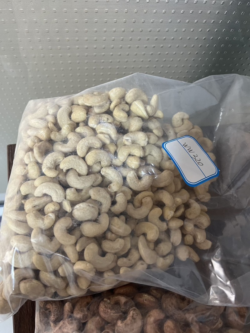 腰果，非洲。未加工，加工后的。源头工厂。