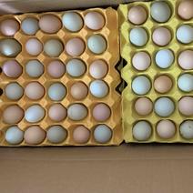土鸡蛋荆门散养土鸡蛋基地直供，支持一件代发价格优惠