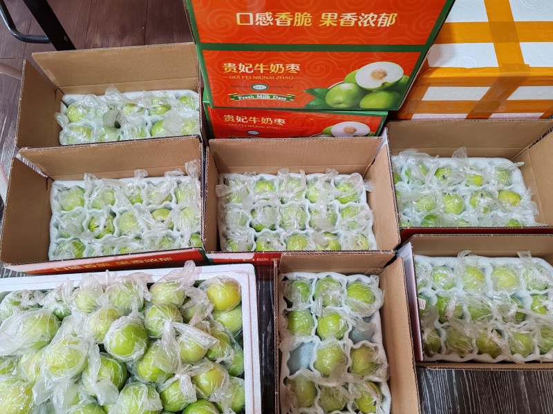 青枣牛奶枣苹果枣脆枣口感脆甜大量上市产地直销