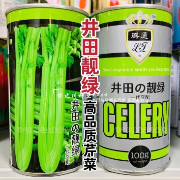 优质芹菜新品种井田靓绿芹菜种子高产抗病耐低温西芹种子
