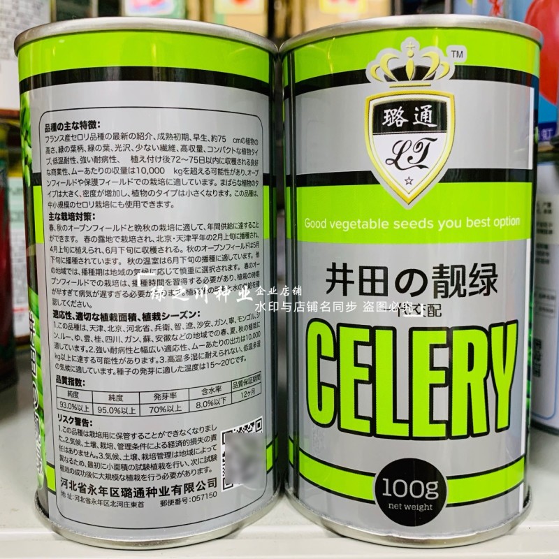 优质芹菜新品种井田靓绿芹菜种子高产抗病耐低温西芹种子