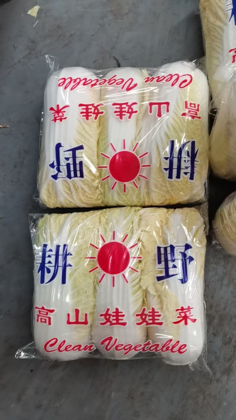 精品娃娃菜高山大娃娃菜货源充足代收代发代加工全国