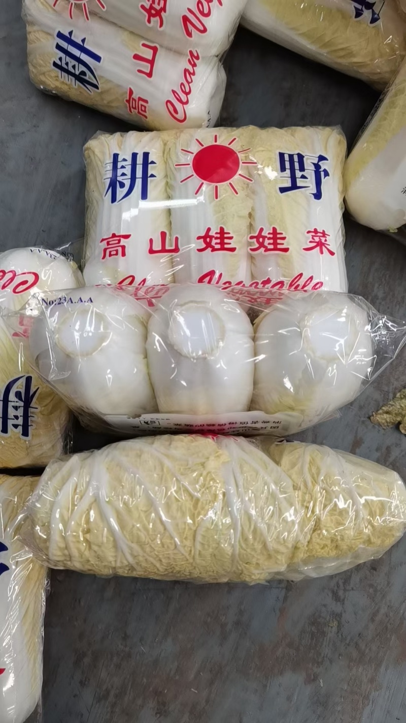 精品娃娃菜高山大娃娃菜货源充足代收代发代加工全国