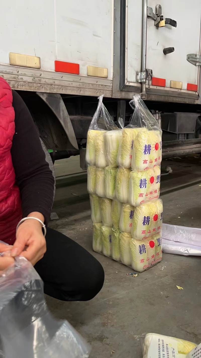 精品娃娃菜高山大娃娃菜货源充足代收代发代加工全国