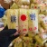 精品娃娃菜高山大娃娃菜货源充足代收代发代加工全国
