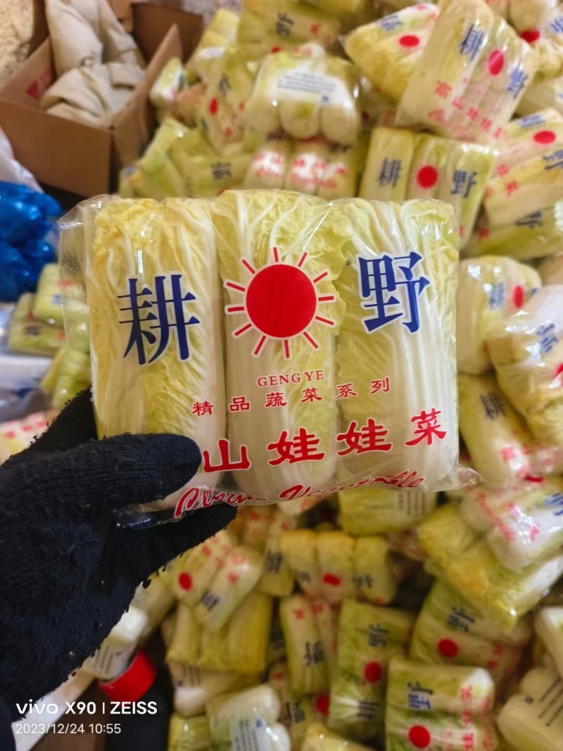 精品娃娃菜高山大娃娃菜货源充足代收代发代加工全国