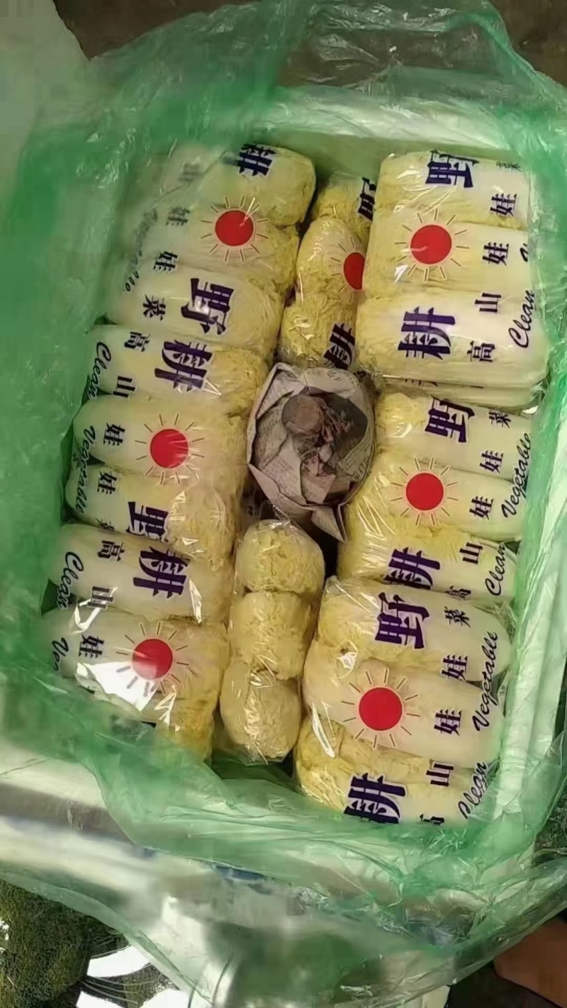 精品娃娃菜高山大娃娃菜货源充足代收代发代加工全国