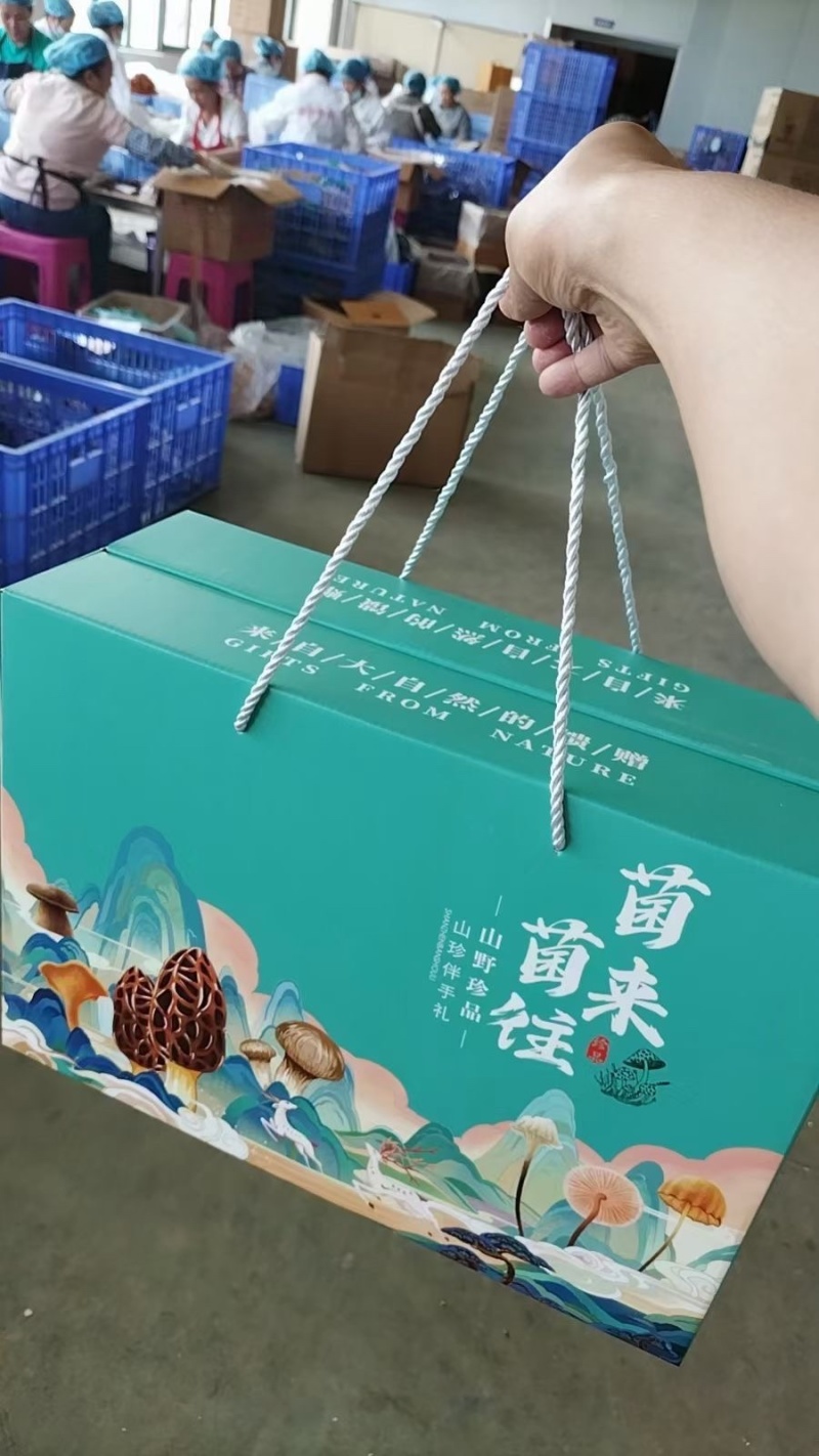 云南特色菌汤包