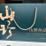云南特色菌汤包